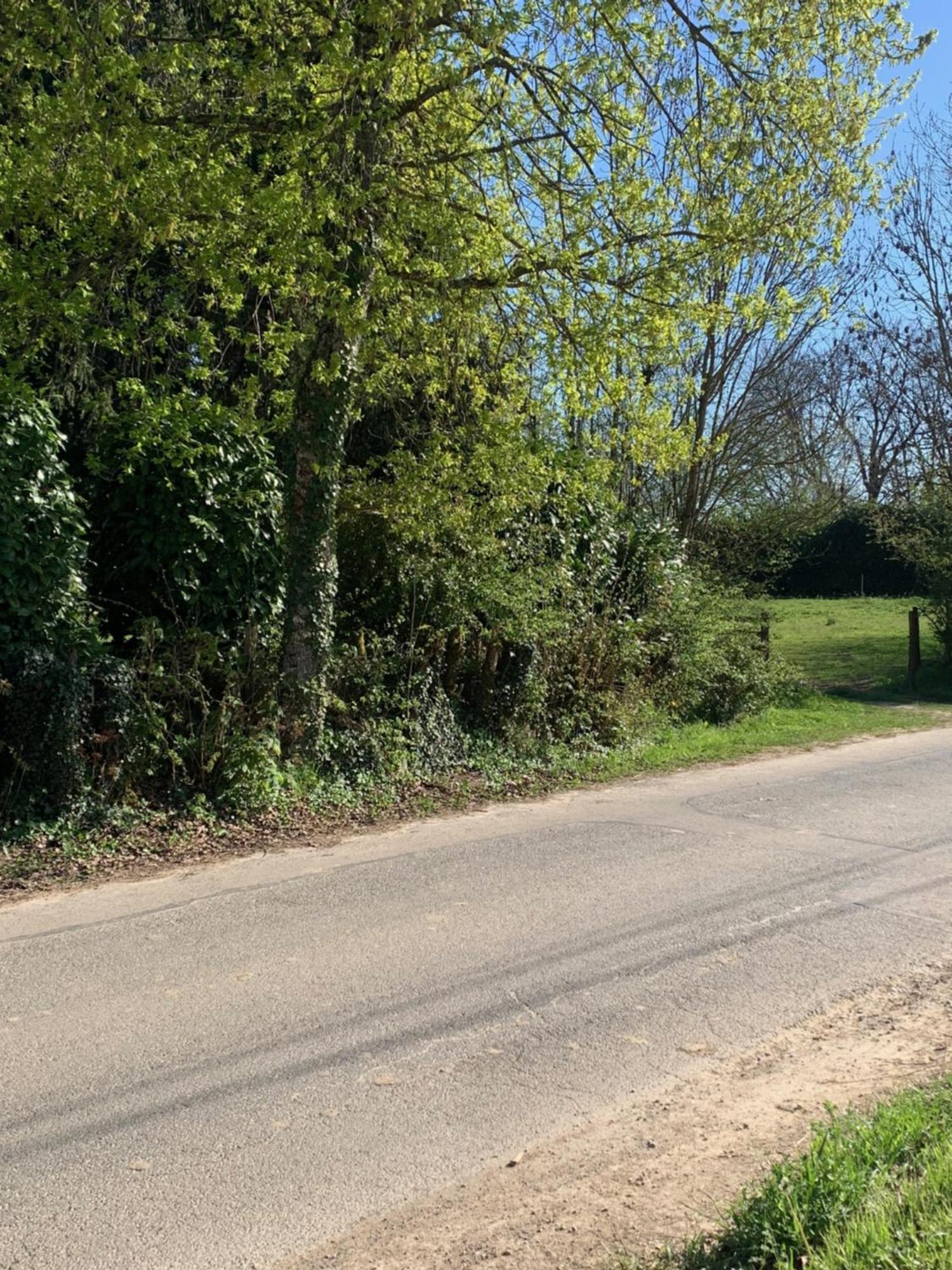 Sur Cote En Dombes Villette-sur-Ain Exterior foto