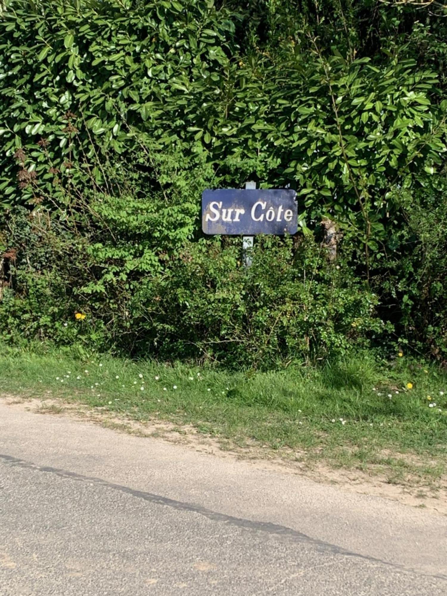 Sur Cote En Dombes Villette-sur-Ain Exterior foto